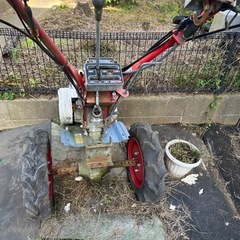 ヤンマーの画像