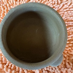 よもぎ蒸しの画像