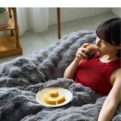 VOFF ソファの画像