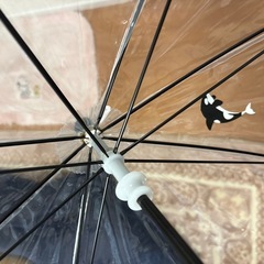 鴨川シーワールドのシャチビニール傘50cmの画像