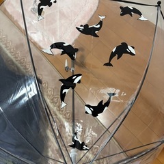 鴨川シーワールドのシャチビニール傘50cmの画像