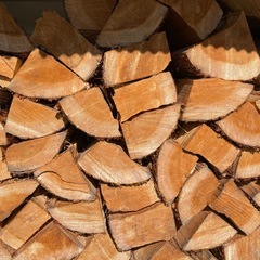 🌳杉の大割薪！　10kg 500円　すぐ使える乾燥薪　焚き付けにも◎ 🔥 薪の画像