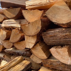 🌳杉の大割薪！　10kg 500円　すぐ使える乾燥薪　焚き付けにも◎ 🔥 薪の画像