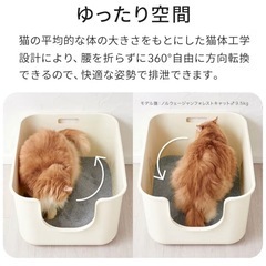 【OFT】 TALL WALL BOX XL Plus アイボリー 本体の画像