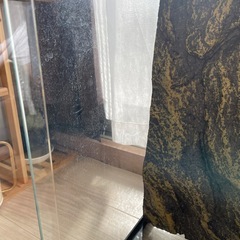 GEX  EXOTERRA 3045 PT2602 グラステラリウム ケージ 爬虫類 ②の画像