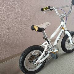 LOUIS GARNEAU -J12の画像