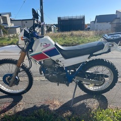 ヤマハ　セローの画像