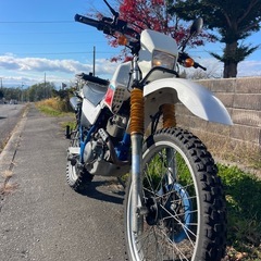 ヤマハ　セローの画像