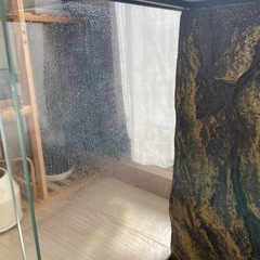 GEX  EXOTERRA 3045 PT2602 グラステラリウム ケージ 爬虫類 ③の画像