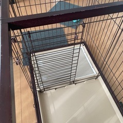 ペットケージの画像