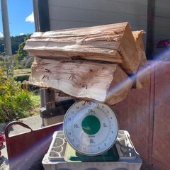🌳杉の大割薪！　10kg 500円　すぐ使える乾燥薪　焚き付けにも◎ 🔥 薪の画像