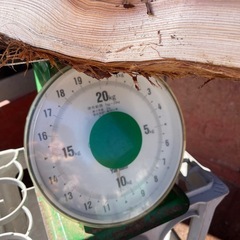 🌳杉の大割薪！　10kg 500円　すぐ使える乾燥薪　焚き付けにも◎ 🔥 薪の画像