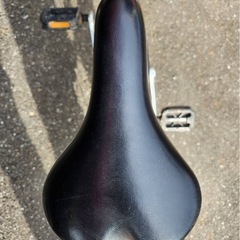 NO:66 子供自転車　SEDONA BOLT セドナリミテッド　22インチの画像