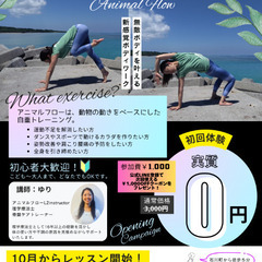 カラダが変わるアニマルフロー【姿勢改善・運動不足・ダイエット】