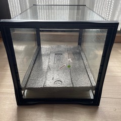 EXOTERRA 3045 PT2602 グラステラリウム ケージ 爬虫類 ④の画像