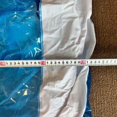 【手渡し希望】ビニールプール（電動空気入れ付き）の画像