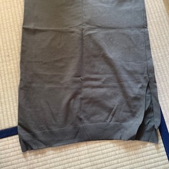 冬ドレス無料！の画像