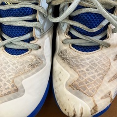 ヨネックス　室内シューズの画像