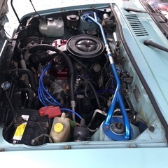 パオ キャンパストップの画像