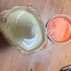 トカゲ飼育セットの画像