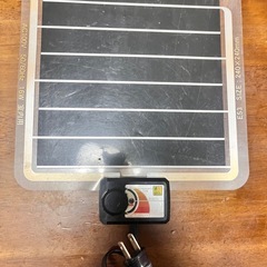 トカゲ飼育セットの画像