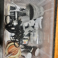 トカゲ飼育セットの画像