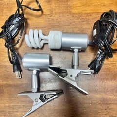 トカゲ飼育セットの画像