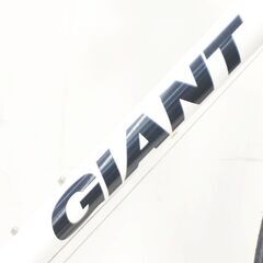 GIANT 「ジャイアント」 ESCAPE R3 2020年モデル クロスバイクの画像