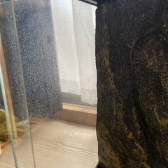 EXOTERRA 3045 PT2602 グラステラリウム ケージ 爬虫類 ⑥の画像