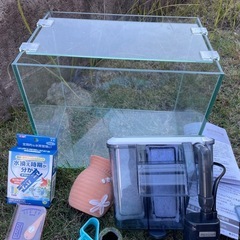 ガラス水槽その他の画像