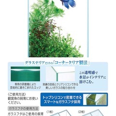 GEX ジェックス グラステリアフィット 小型 水槽の画像