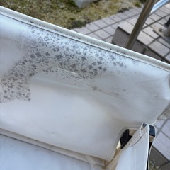 キャリーワゴンの画像