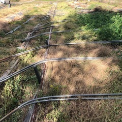 ビニールハウスの画像