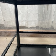 みどり商会　ケースバイケース　60m60Mの画像