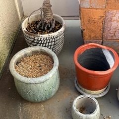 11/10まで【陶器テラコッタなど】鉢カバーと植木鉢いろいろの画像