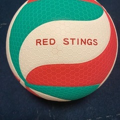 男女混合バレーサークルREDSTINGSです！(オーバーエイジ限定)