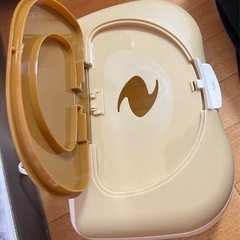 ベビープー片手でホットボックスの画像