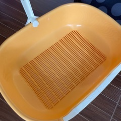 仔猫〜幼猫　トイレ&キャリーバッグの画像