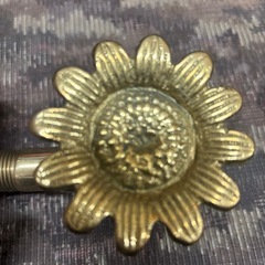 蛇口ひまわりの画像