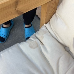 ソファベッドの画像