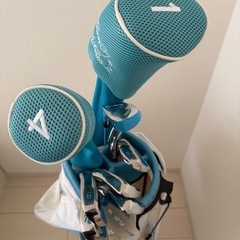 WORLD EAGLE ゴルフセット　10本セット　レディース　右　初心者の画像