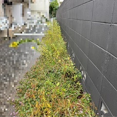 除草、お庭のお手入れに幅広く対応！