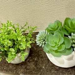 ニトリ フェイクグリーン2個セットの画像