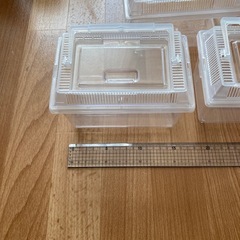 虫かご④３点セットの画像