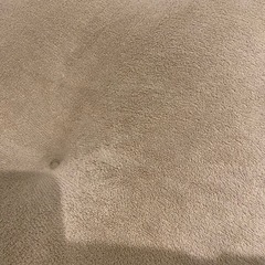 カインズホーム　もちもちクッション　特大の画像