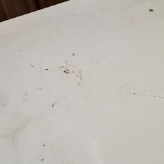 白いテーブル　高さ45センチの画像