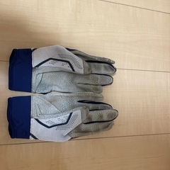 EVO SEALD　バッティンググローブの画像