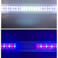 コトブキ LEDライト 水槽用　の画像