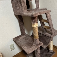 キャットタワーの画像