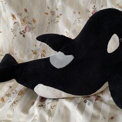 シャチ　ぬいぐるみの画像